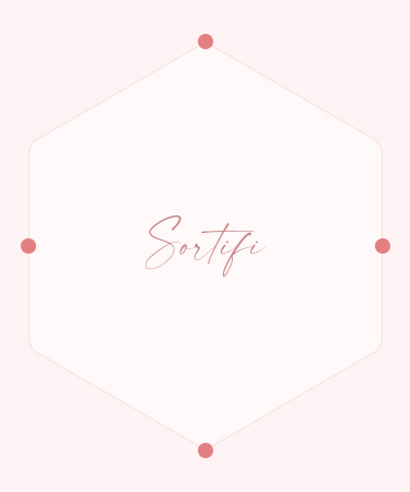 Sortifi Studio — detail