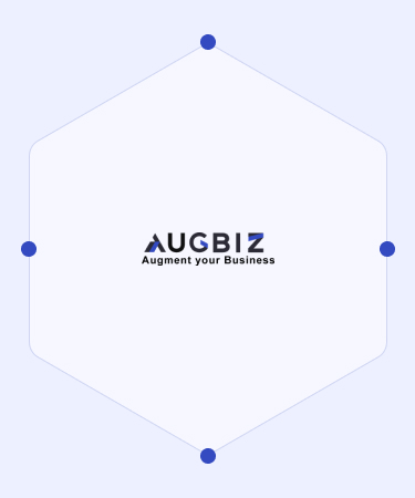 Augbiz Technologies — detail